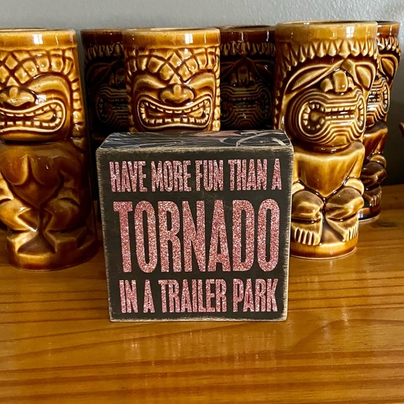 Have More Fun than a Tornado in a Trailer Park - Pink Glitter - Picture 5 of 11